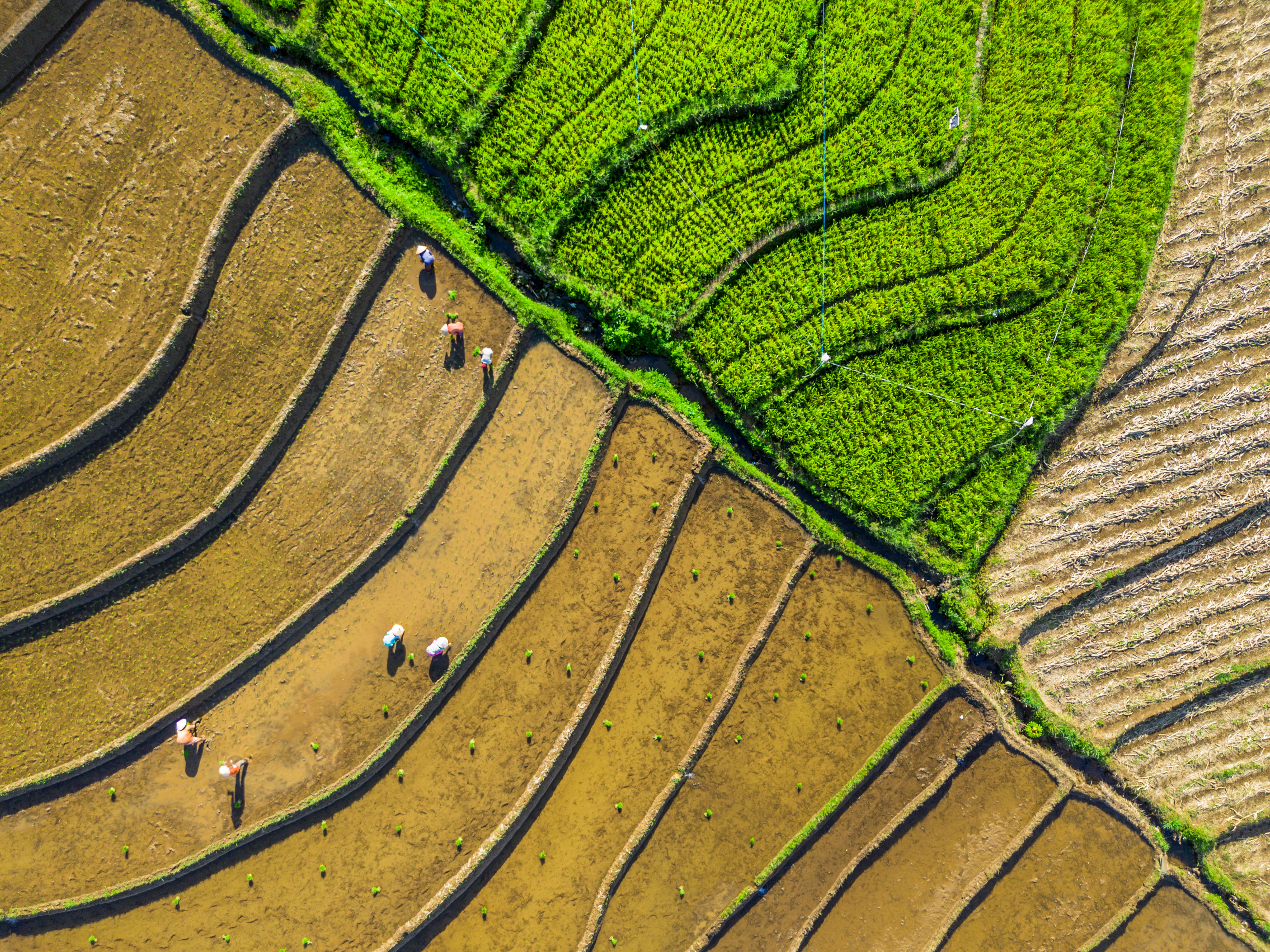Morning panorama landscape